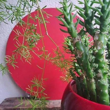 Cosy Avec Jardin Et Parking * Gennevilliers
